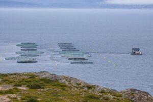 fish farming, norway, sea